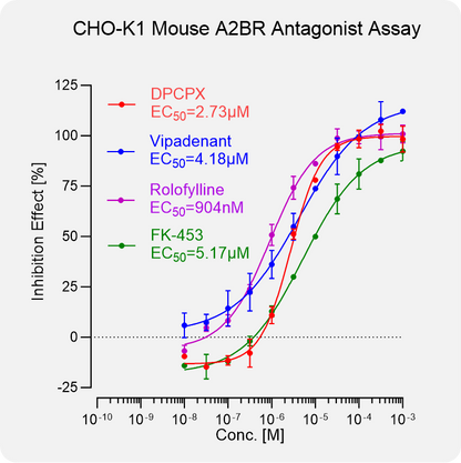 CHO-K1 Mouse A2BR Stable Cell