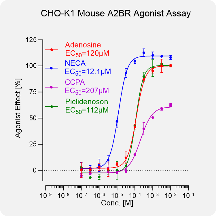 CHO-K1 Mouse A2BR Stable Cell