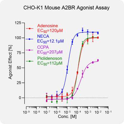 CHO-K1 Mouse A2BR Stable Cell