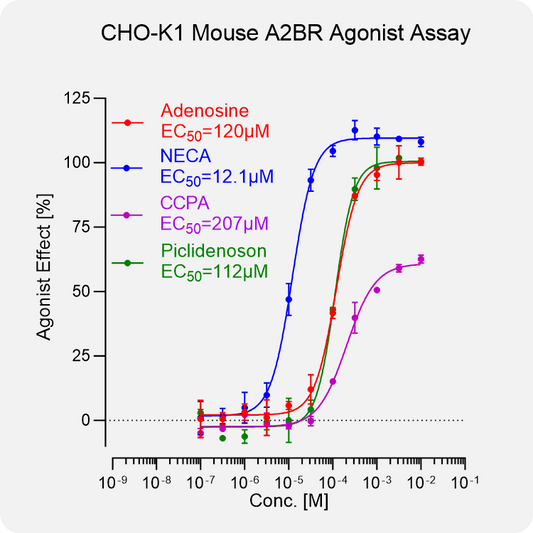 CHO-K1 Mouse A2BR Stable Cell