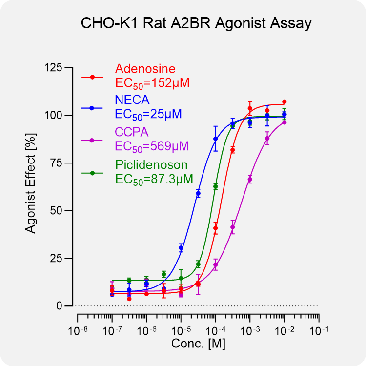 CHO-K1 Rat A2BR Stable Cell
