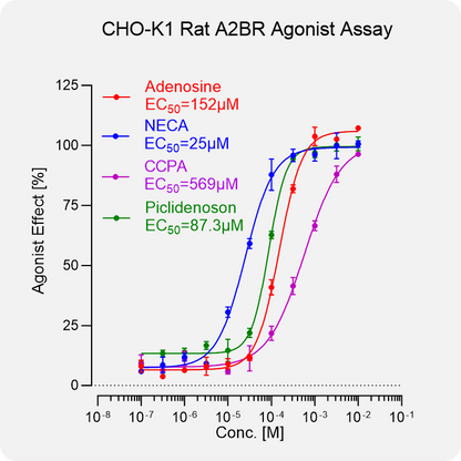 CHO-K1 Rat A2BR Stable Cell