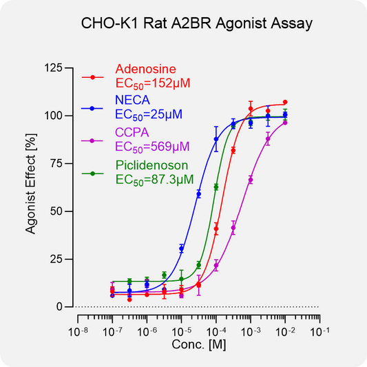 CHO-K1 Rat A2BR Stable Cell