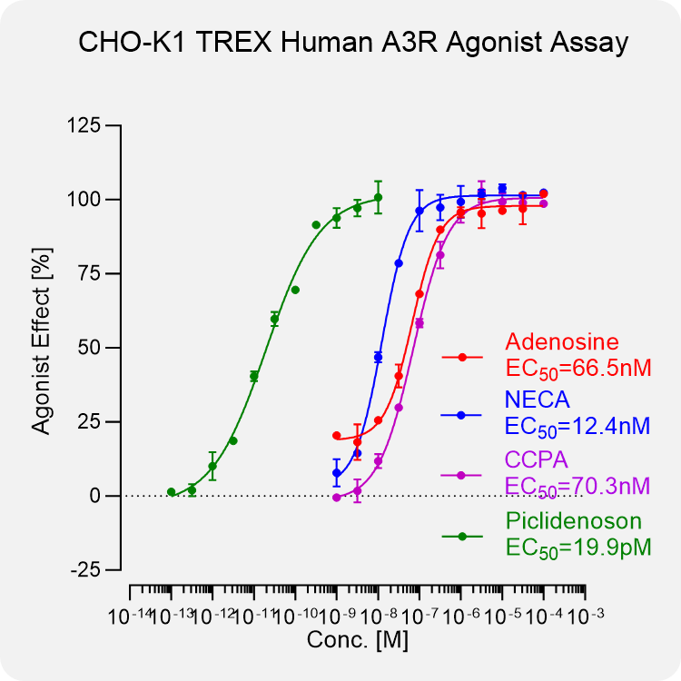 CHO-K1 TREX Human A3R Stable Cell