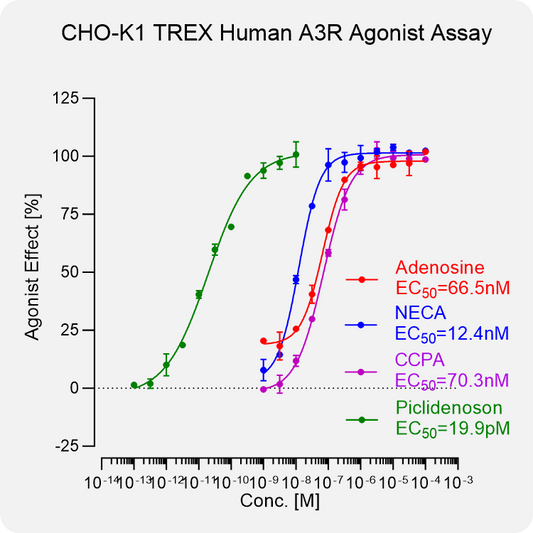CHO-K1 TREX Human A3R Stable Cell