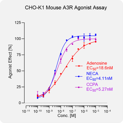 CHO-K1 Mouse A3R Stable Cell