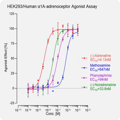 HEK293 Human α1A-adrenoceptor Stable Cell