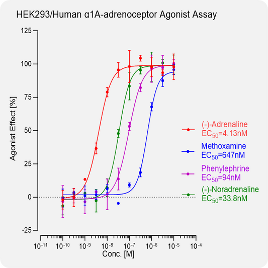 HEK293 Human α1A-adrenoceptor Stable Cell