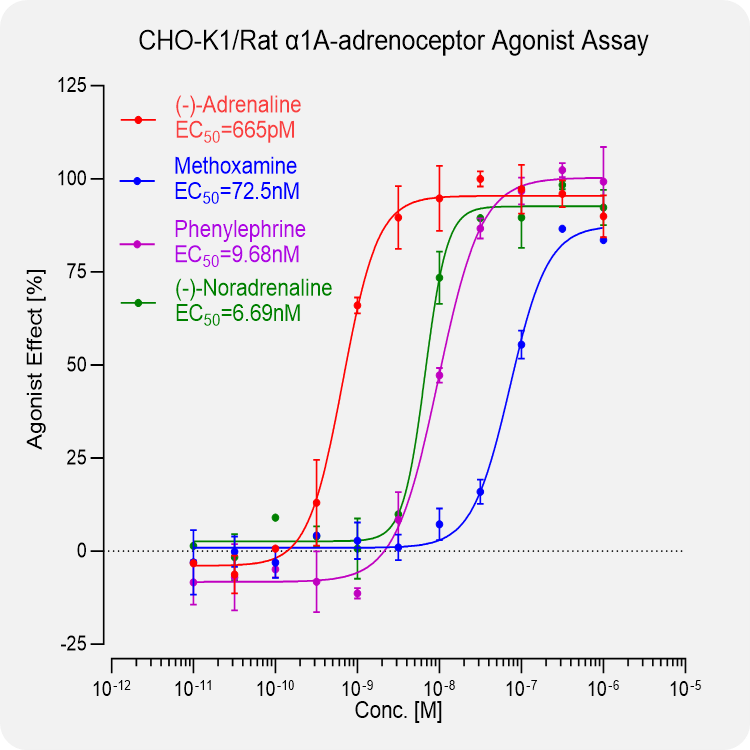 CHO-K1 Rat α1A-adrenoceptor Stable Cell