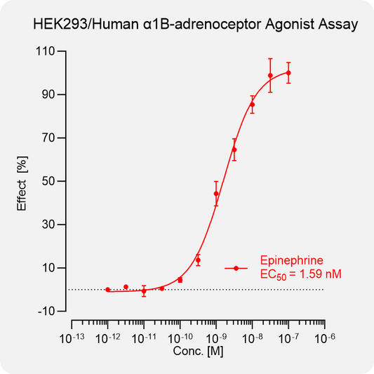 HEK293 Human α1B-adrenoceptor Stable Cell