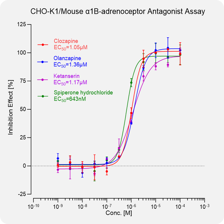 CHO-K1 Mouse α1B-adrenoceptor Stable Cell