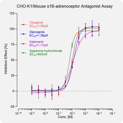 CHO-K1 Mouse α1B-adrenoceptor Stable Cell