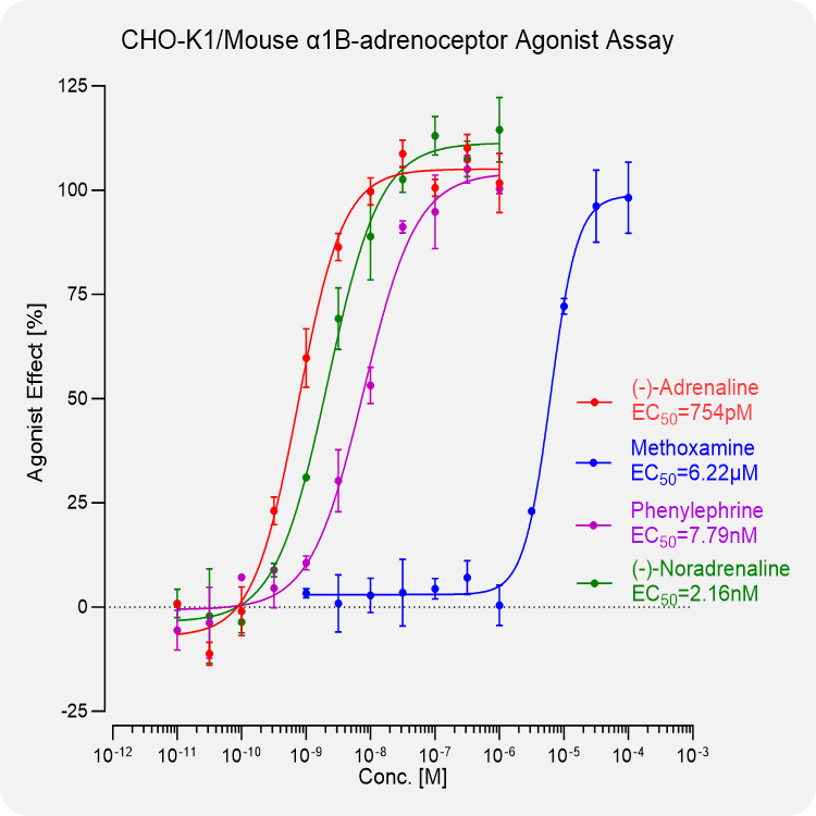 CHO-K1 Mouse α1B-adrenoceptor Stable Cell