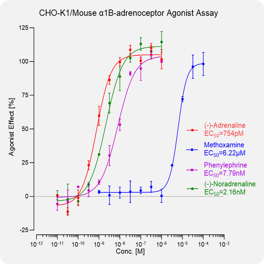 CHO-K1 Mouse α1B-adrenoceptor Stable Cell