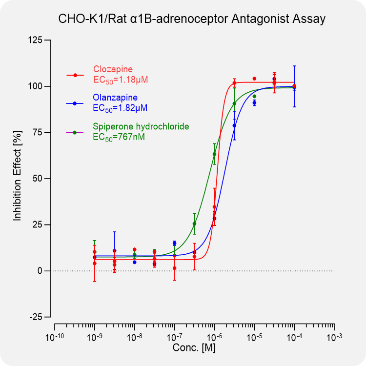 CHO-K1 Rat α1B-adrenoceptor Stable Cell