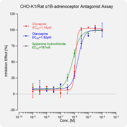 CHO-K1 Rat α1B-adrenoceptor Stable Cell