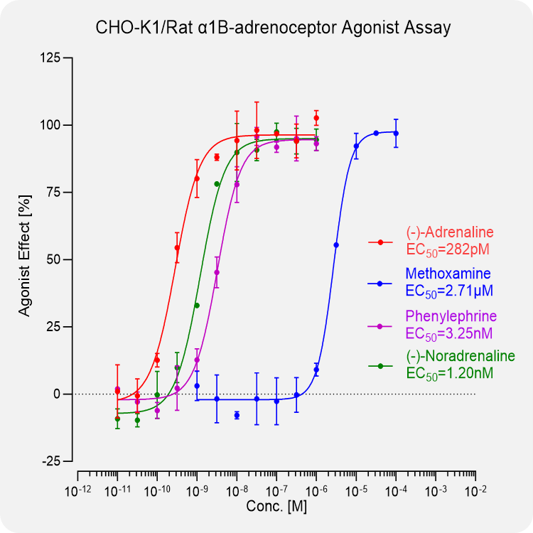 CHO-K1 Rat α1B-adrenoceptor Stable Cell