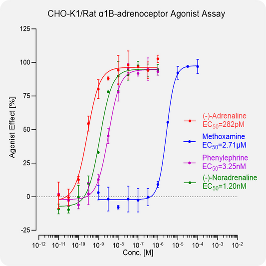 CHO-K1 Rat α1B-adrenoceptor Stable Cell