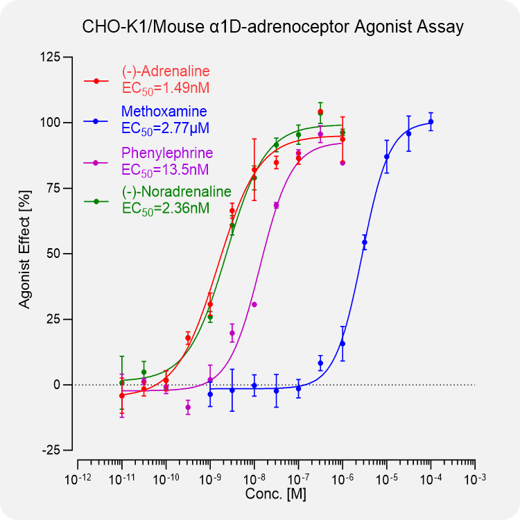 CHO-K1 Mouse α1D-adrenoceptor Stable Cell