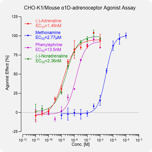 CHO-K1 Mouse α1D-adrenoceptor Stable Cell