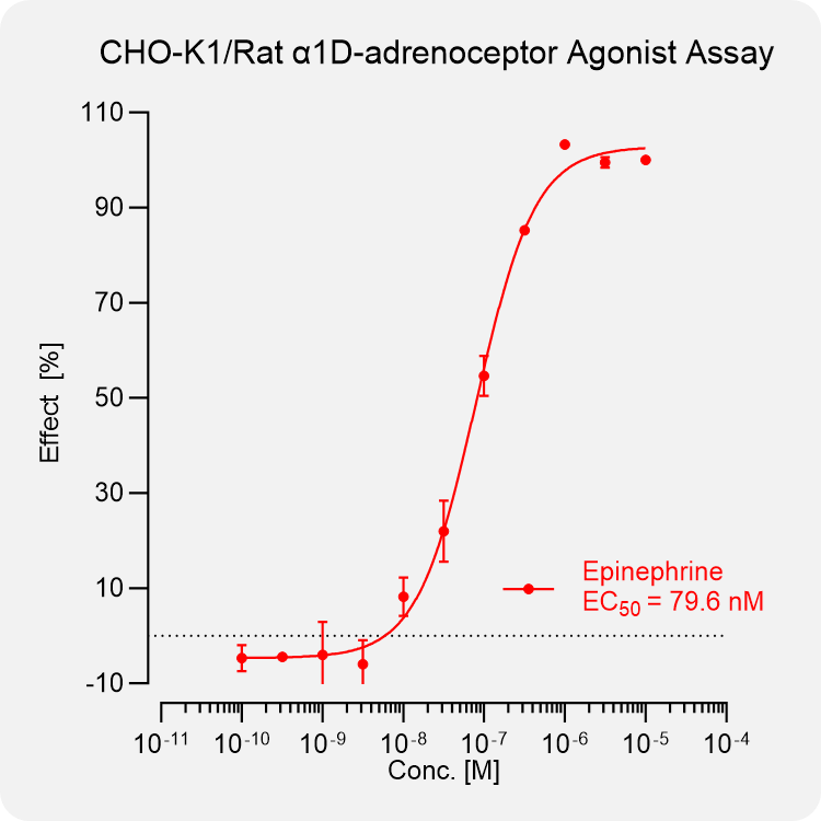 CHO-K1 Rat α1D-adrenoceptor Stable Cell