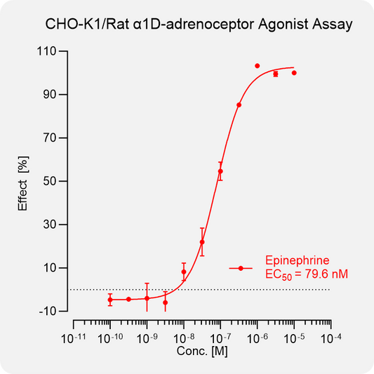 CHO-K1 Rat α1D-adrenoceptor Stable Cell