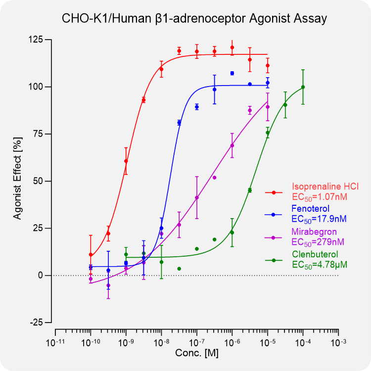 CHO-K1 Human β1-adrenoceptor Stable Cell