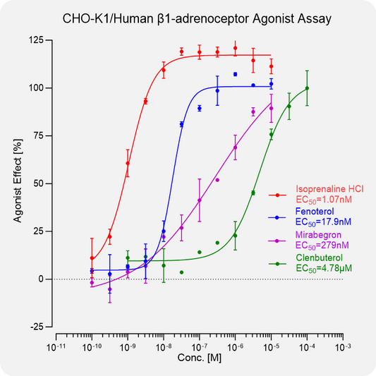CHO-K1 Human β1-adrenoceptor Stable Cell