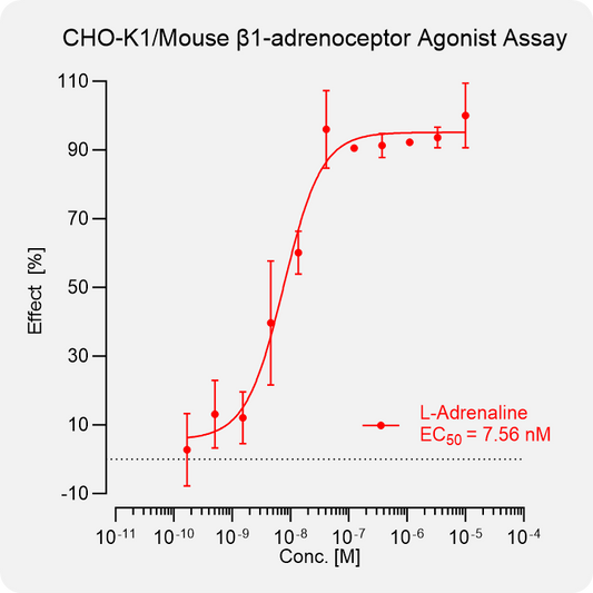 CHO-K1 Mouse β1-adrenoceptor Stable Cell