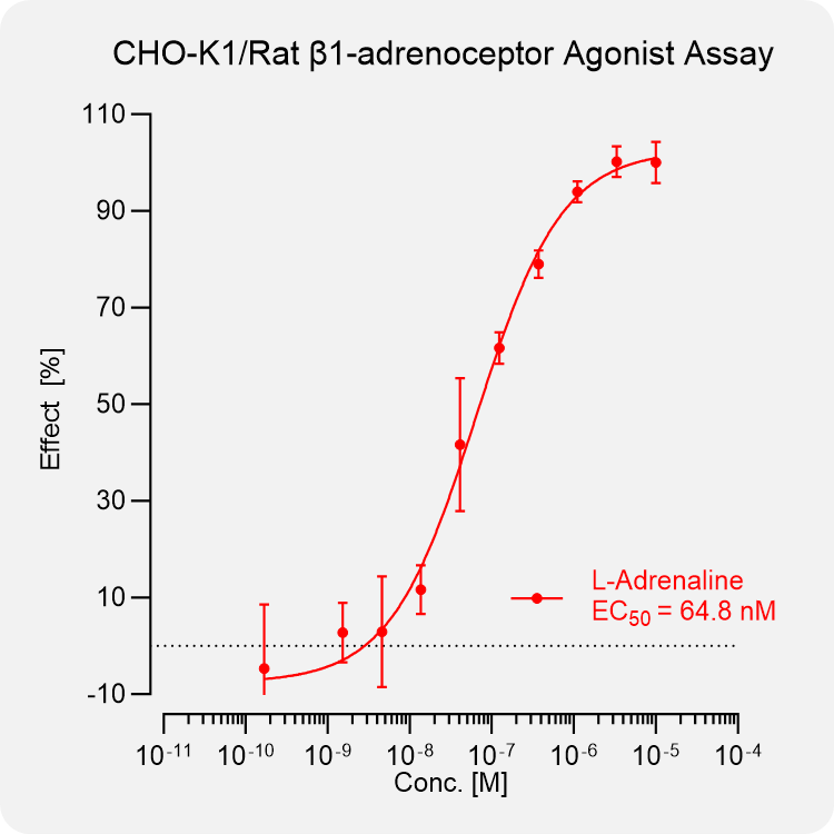 CHO-K1 Rat β1-adrenoceptor Stable Cell