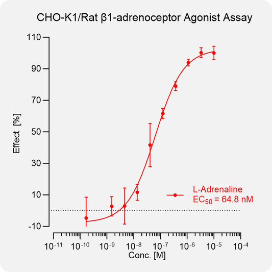 CHO-K1 Rat β1-adrenoceptor Stable Cell