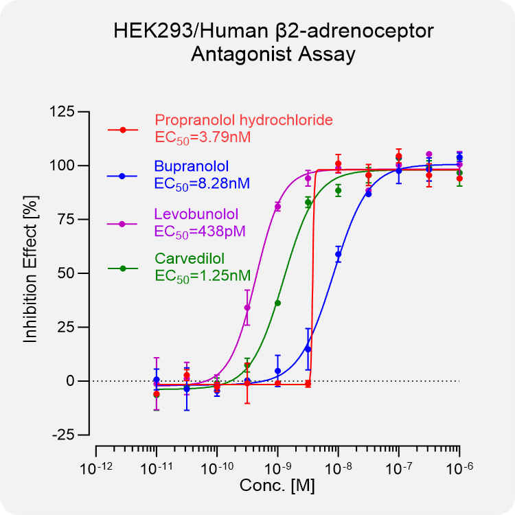 HEK293 Human β2-adrenoceptor Stable Cell