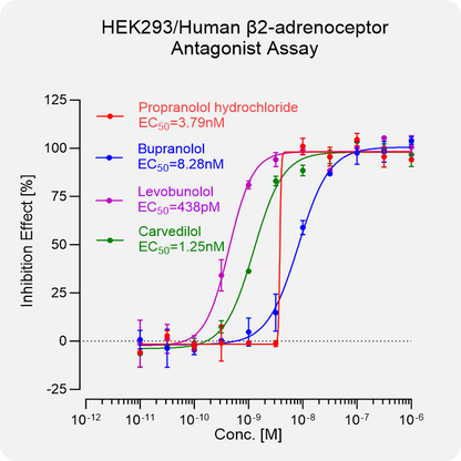 HEK293 Human β2-adrenoceptor Stable Cell