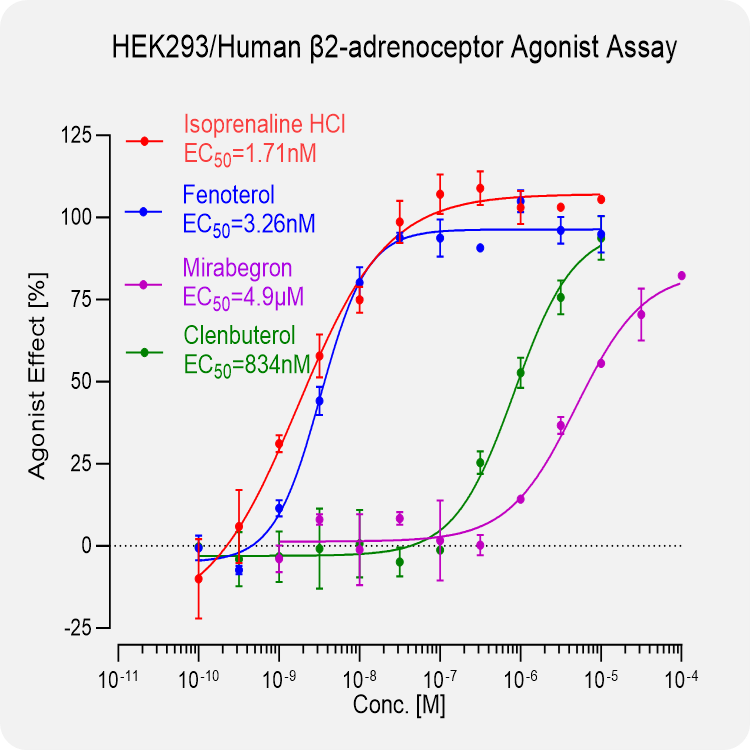 HEK293 Human β2-adrenoceptor Stable Cell