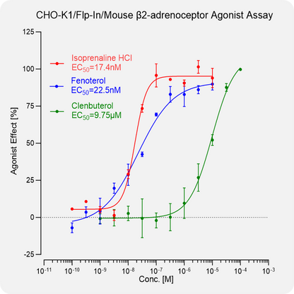 CHO-K1 Mouse β2-adrenoceptor Stable Cell