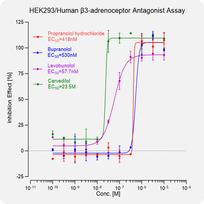 HEK293 Human β3-adrenoceptor Stable Cell