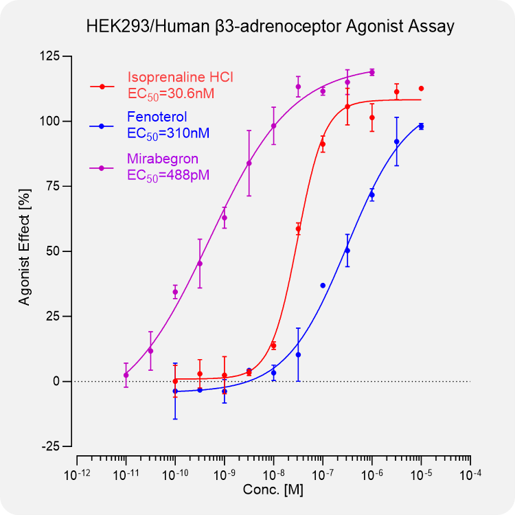 HEK293 Human β3-adrenoceptor Stable Cell