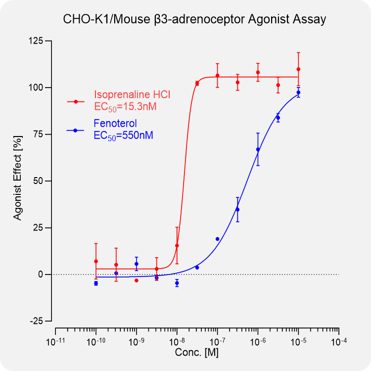 CHO-K1 Mouse β3-adrenoceptor Stable Cell