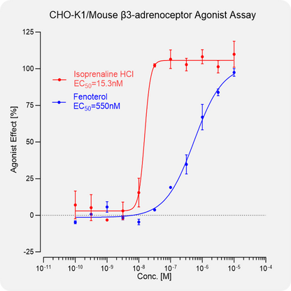 CHO-K1 Mouse β3-adrenoceptor Stable Cell
