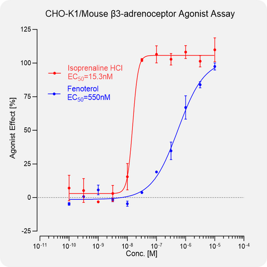 CHO-K1 Mouse β3-adrenoceptor Stable Cell