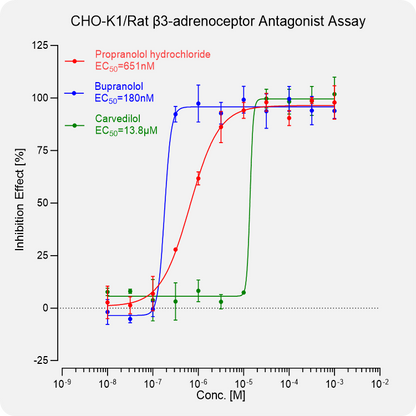 CHO-K1 Rat β3-adrenoceptor Stable Cell