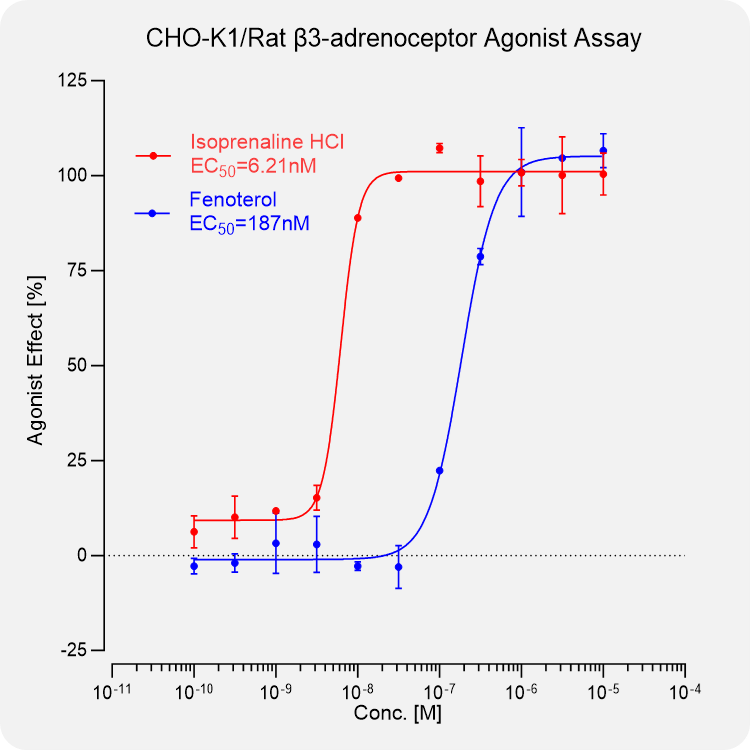 CHO-K1 Rat β3-adrenoceptor Stable Cell
