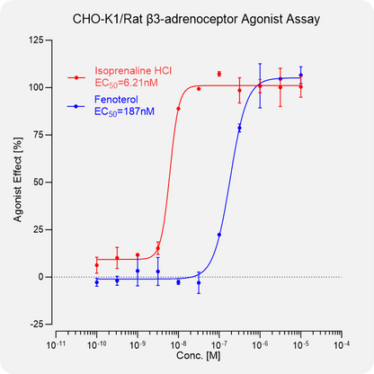 CHO-K1 Rat β3-adrenoceptor Stable Cell