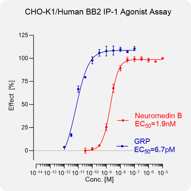 CHO-K1 Human BB2 Stable Cell