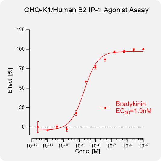 CHO-K1 Human B2 Stable Cell