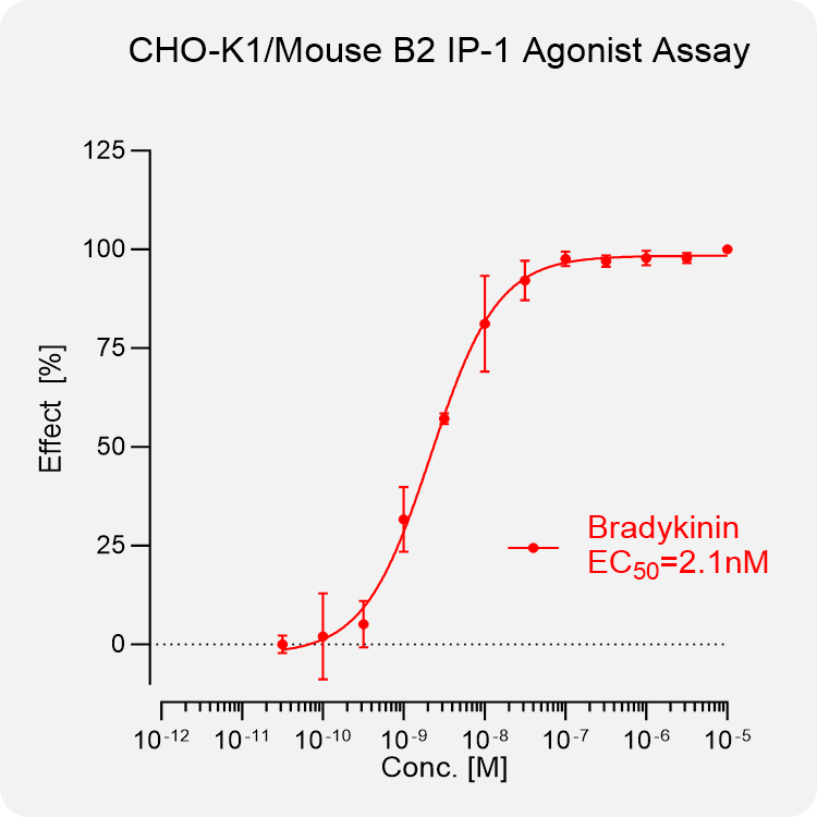 CHO-K1 Mouse B2 Stable Cell