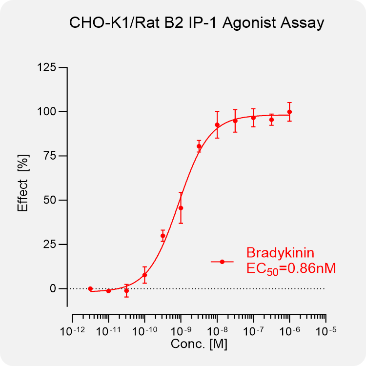 CHO-K1 Rat B2 Stable Cell