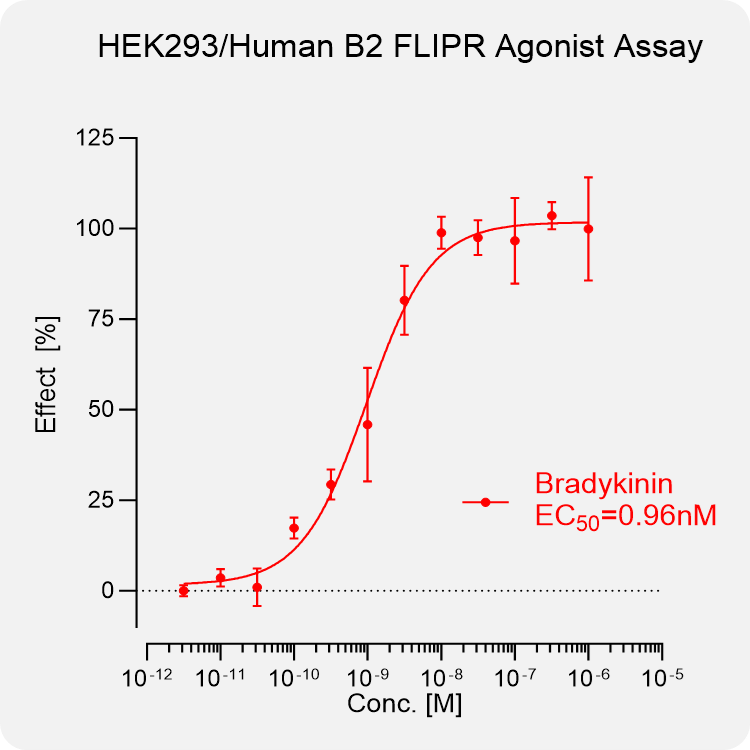 HEK293 Human B2 Stable Cell