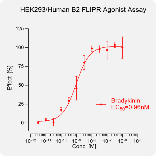 HEK293 Human B2 Stable Cell