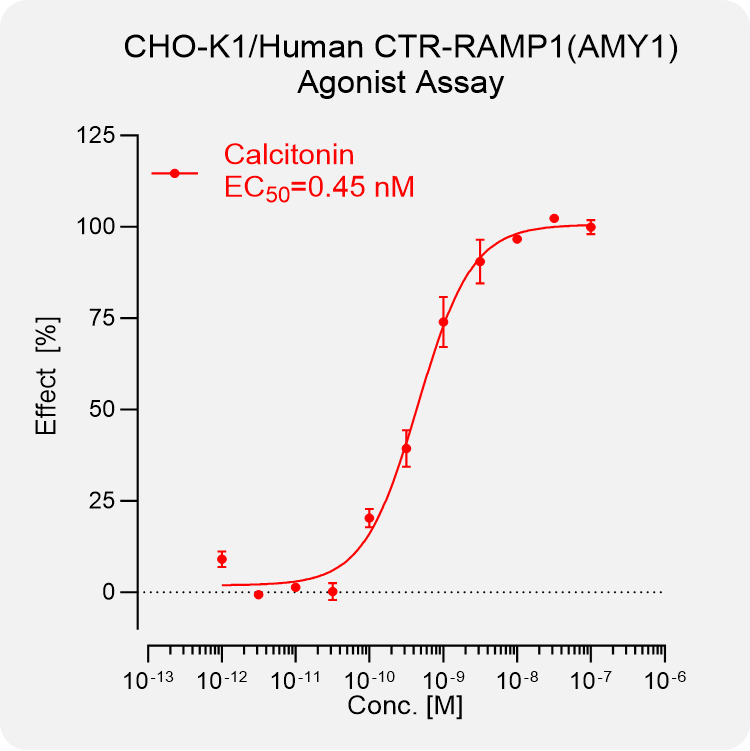 CHO-K1 Human CTR-RAMP1 (AMY1) Stable Cell